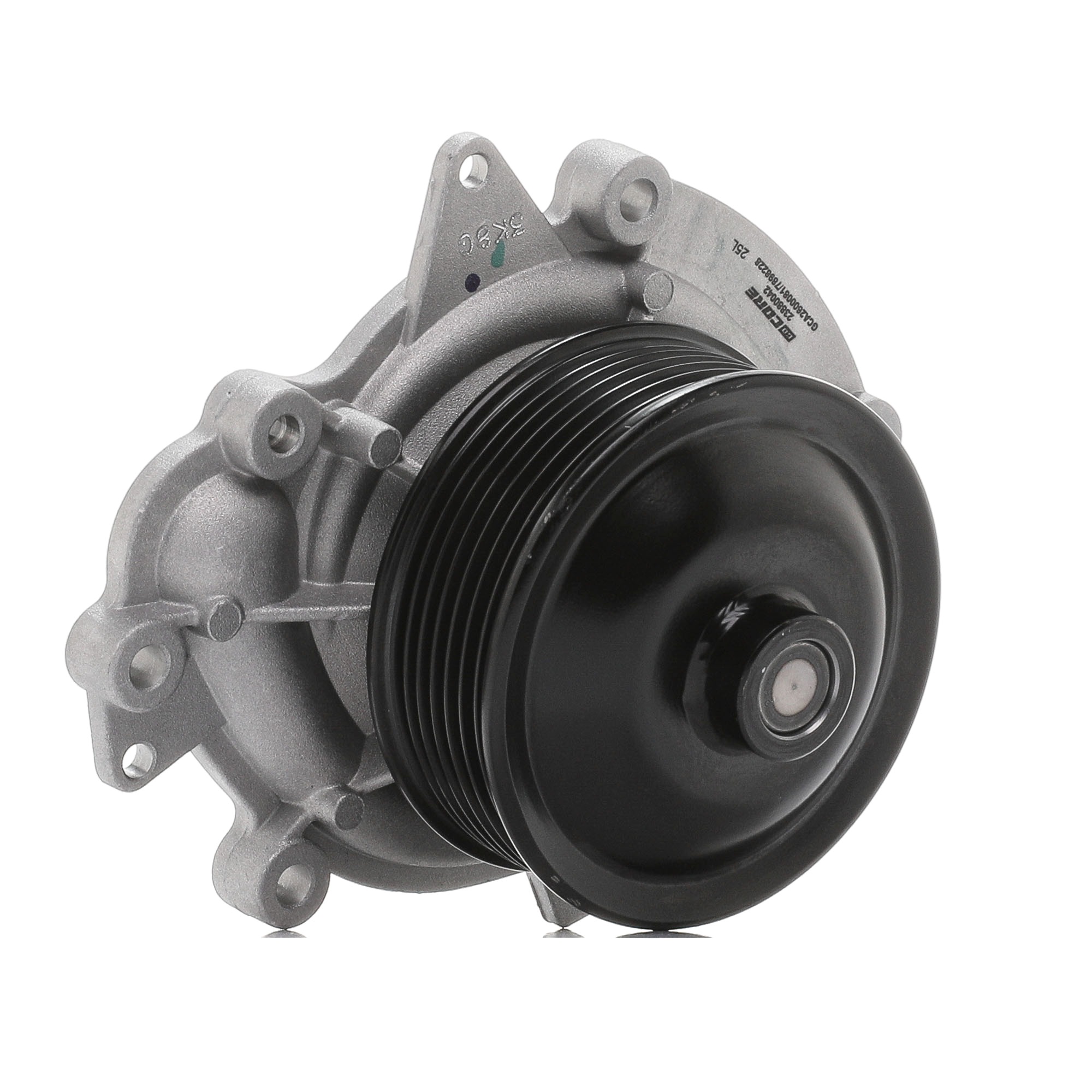 goCORE GCA2600081 Veepump odav e pood