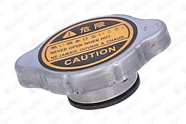 81184 Tampa de fecho, recipiente de líquido de refrigeração BIRTH 214308998D RENAULT