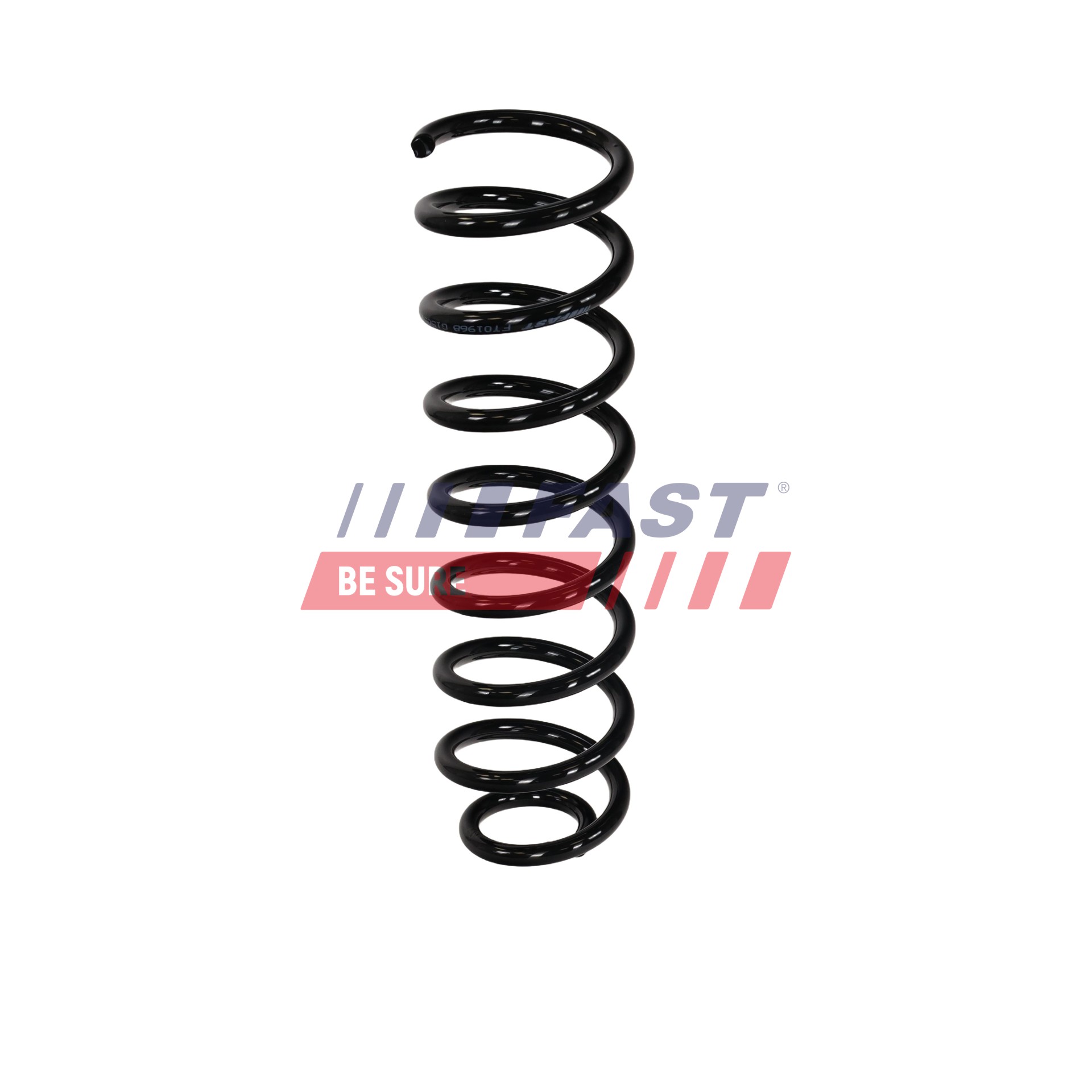 FAST FT01968 RENAULT Megane II Hatchback (BM, CM) 2.0dCi Springs 173 hp Diesel 2007 cost