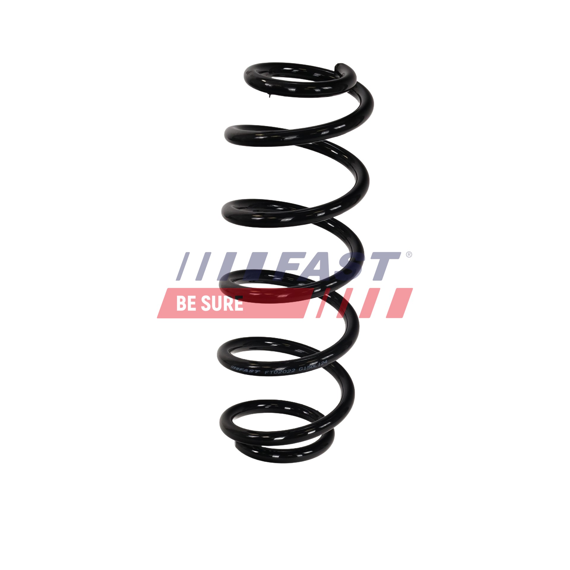 FAST FT02022 Federn VW PASSAT Variant (3B6) 1.9 TDI 101 PS Diesel 2002