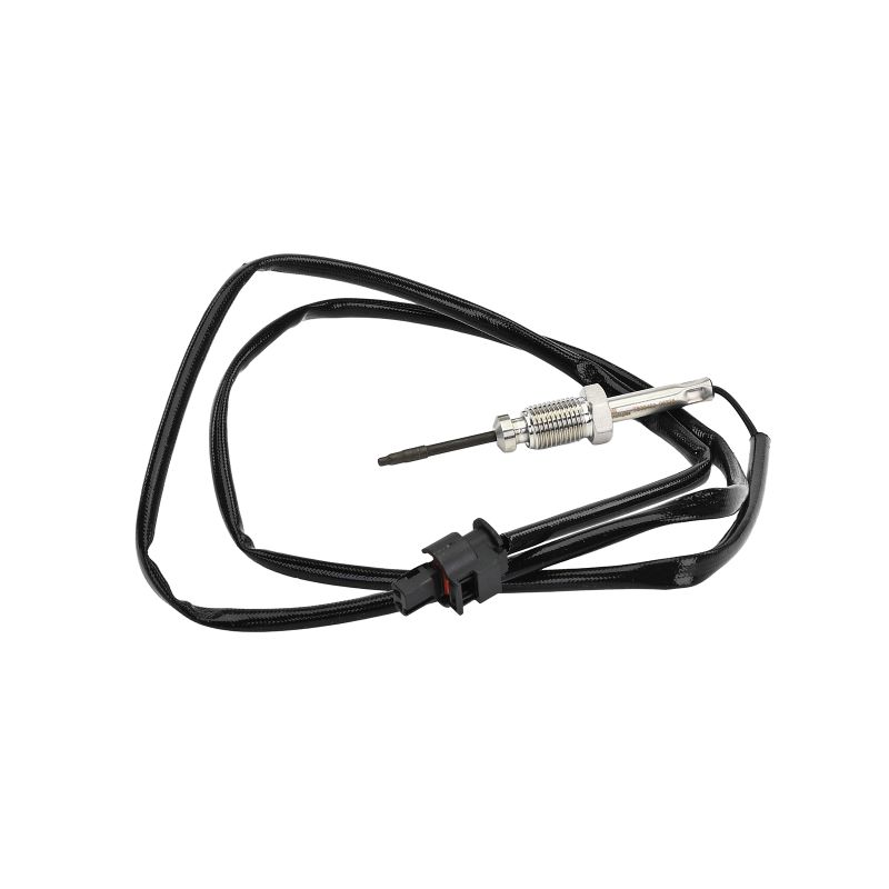 Abgastemperatursensor BMW 5er 2011 DELPHI TS30460-12B1