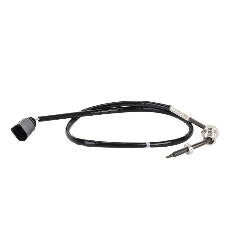 Sonde de température AUDI A6 DELPHI TS30465-12B1