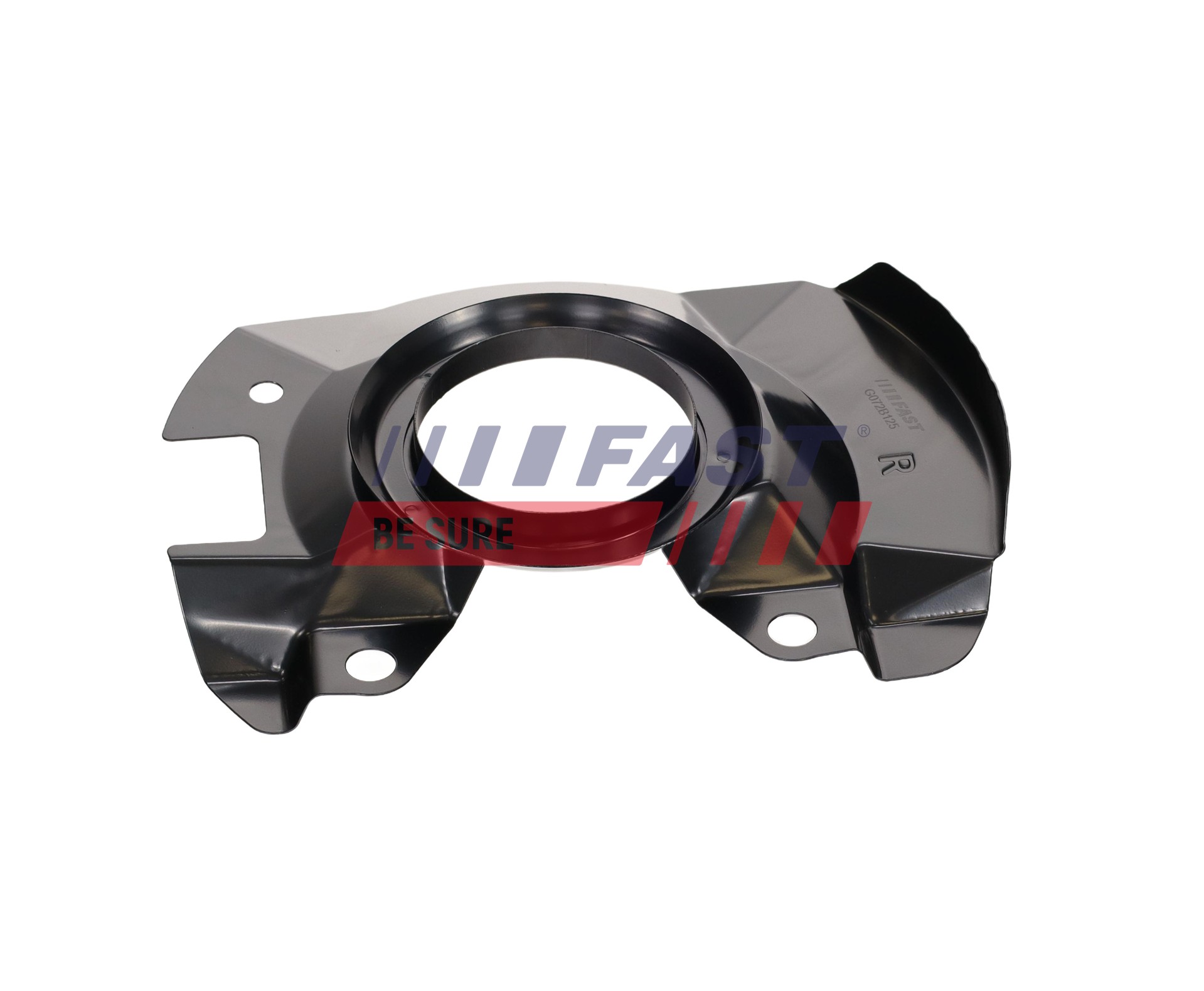 FT02838 Flasque de frein FAST 5175607000