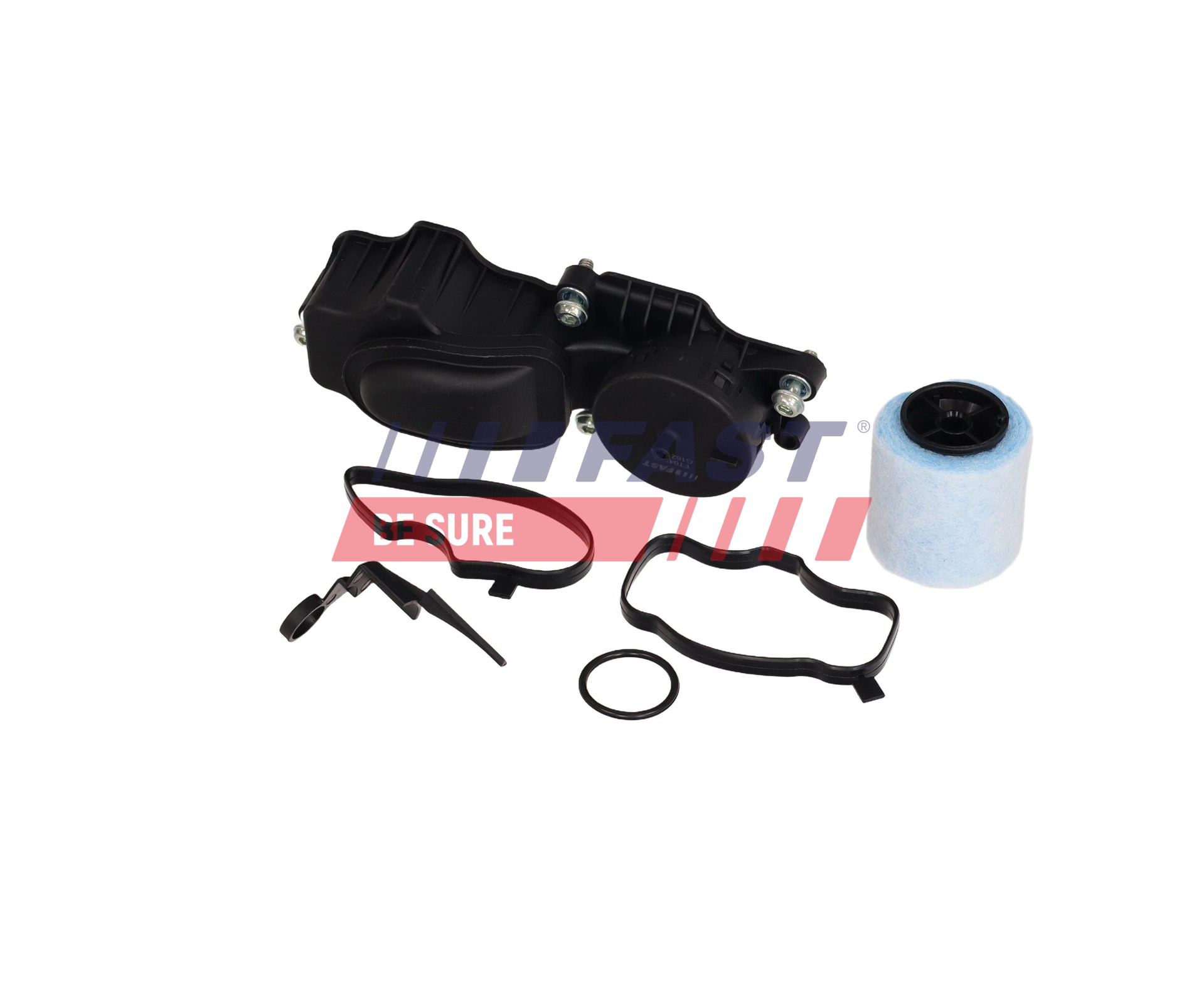 FAST Válvula, ventilación cárter FT04340 comprar online
