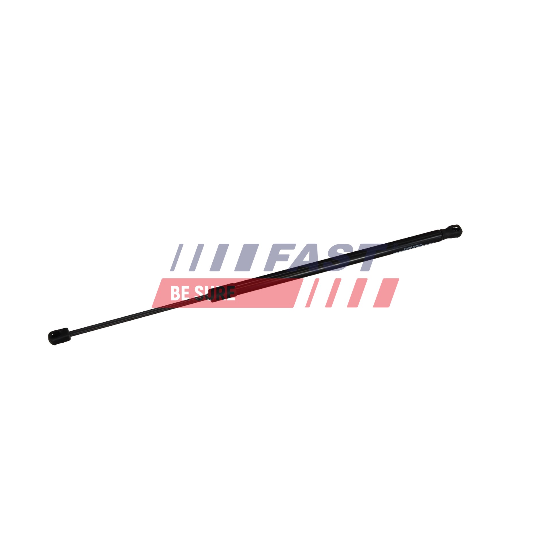 FT04427 Ammortizatore pneumatico, Cofano bagagli / vano carico FAST 8731.N9