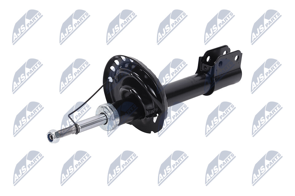 A-RE-045 Amortizor NTY 54302 9731R LADA