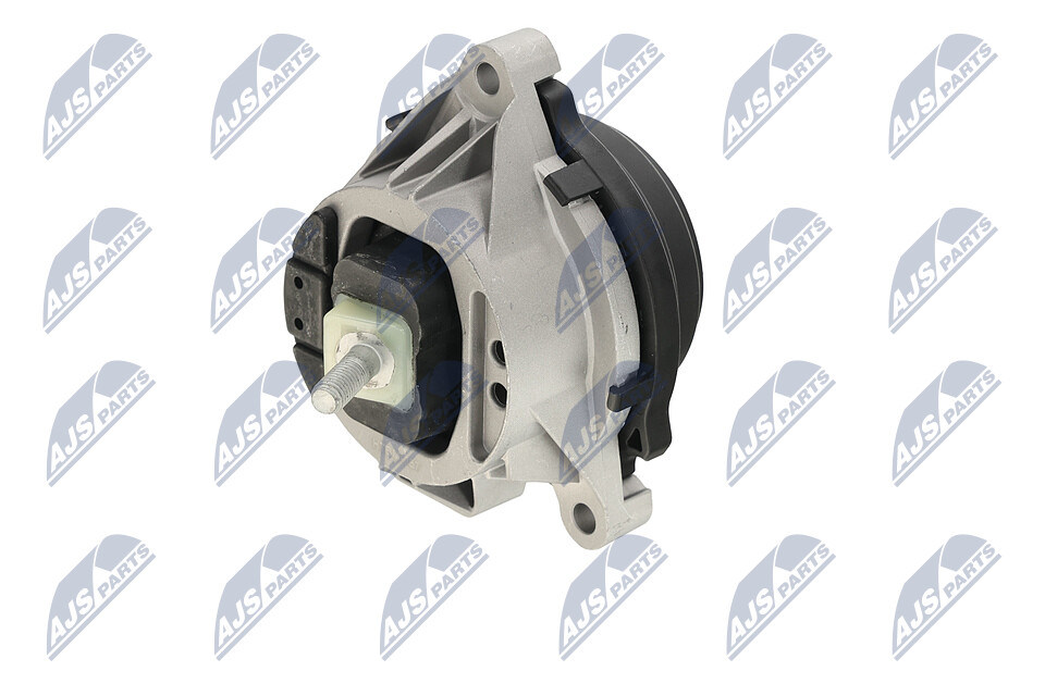 NTY ZPSBM057 Motorophæng BMW E53 3.0 d 218 HK Diesel 2003 pris