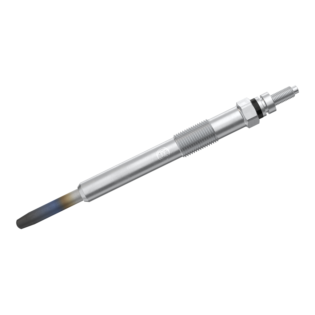 55 BOSCH 0 250 202 048 Glödstift