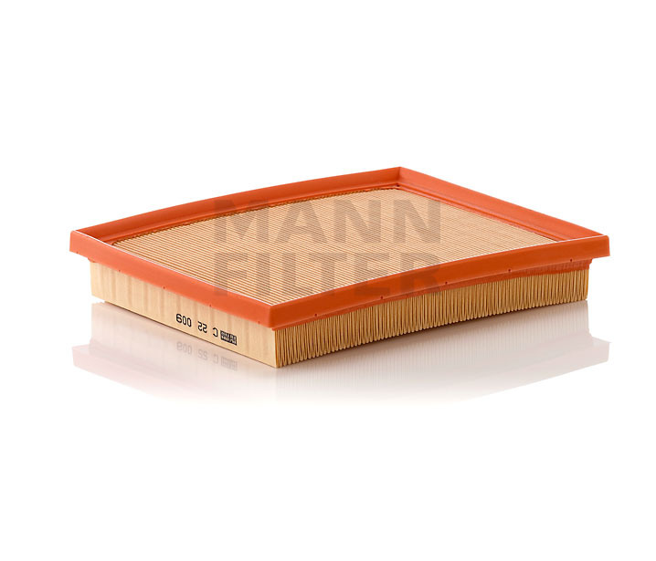 MANN-FILTER C 22 009 Oro filtras