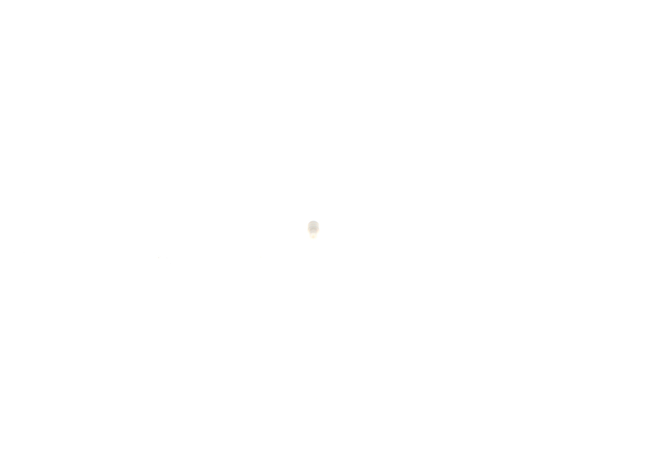 BOSCH Gasket / Seal 1 928 300 935 buy