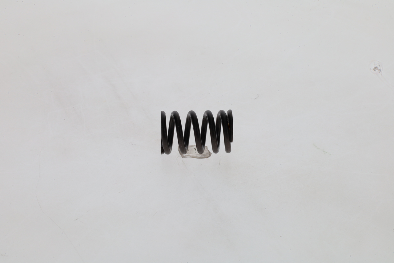 1 424 619 025 BOSCH Sprężyna 1 424 619 025 kupić niedrogo