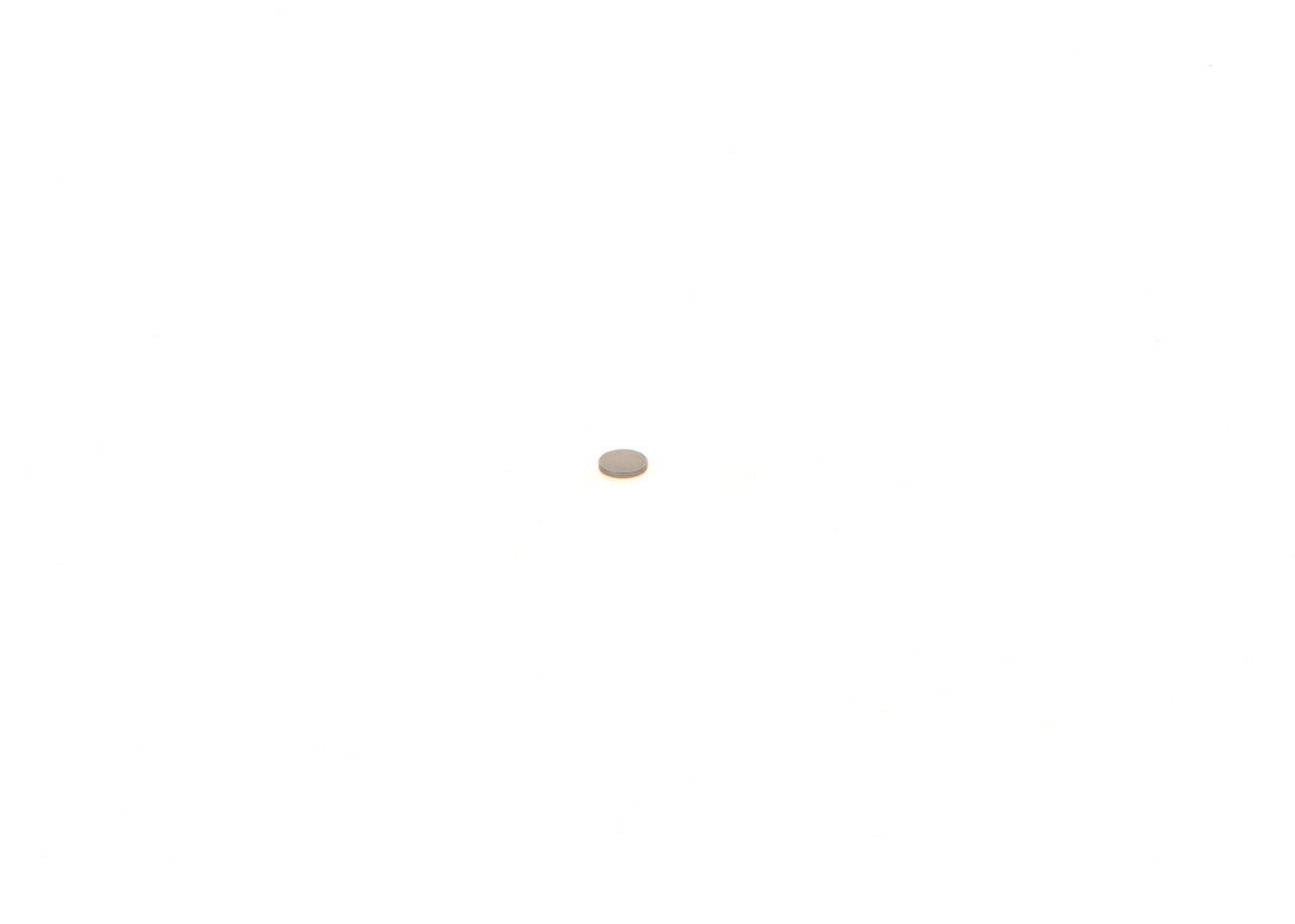 BOSCH Arandela 1 410 067 021 comprar online