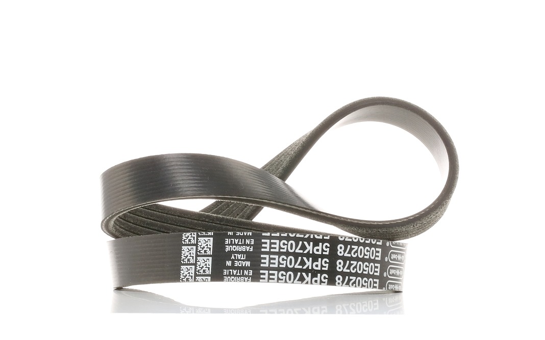 5x705 DAYCO 705,0mm, 5 Number of ribs: 5, Length: 705,0mm Alternator belt 5PK705EE buy
