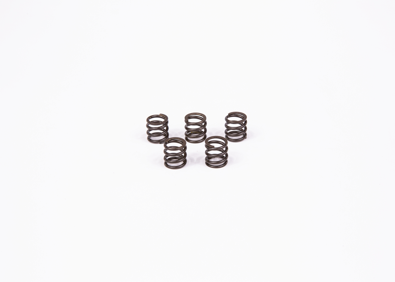 Kupi 2 424 619 154 BOSCH Vzmet 2 424 619 154 poceni