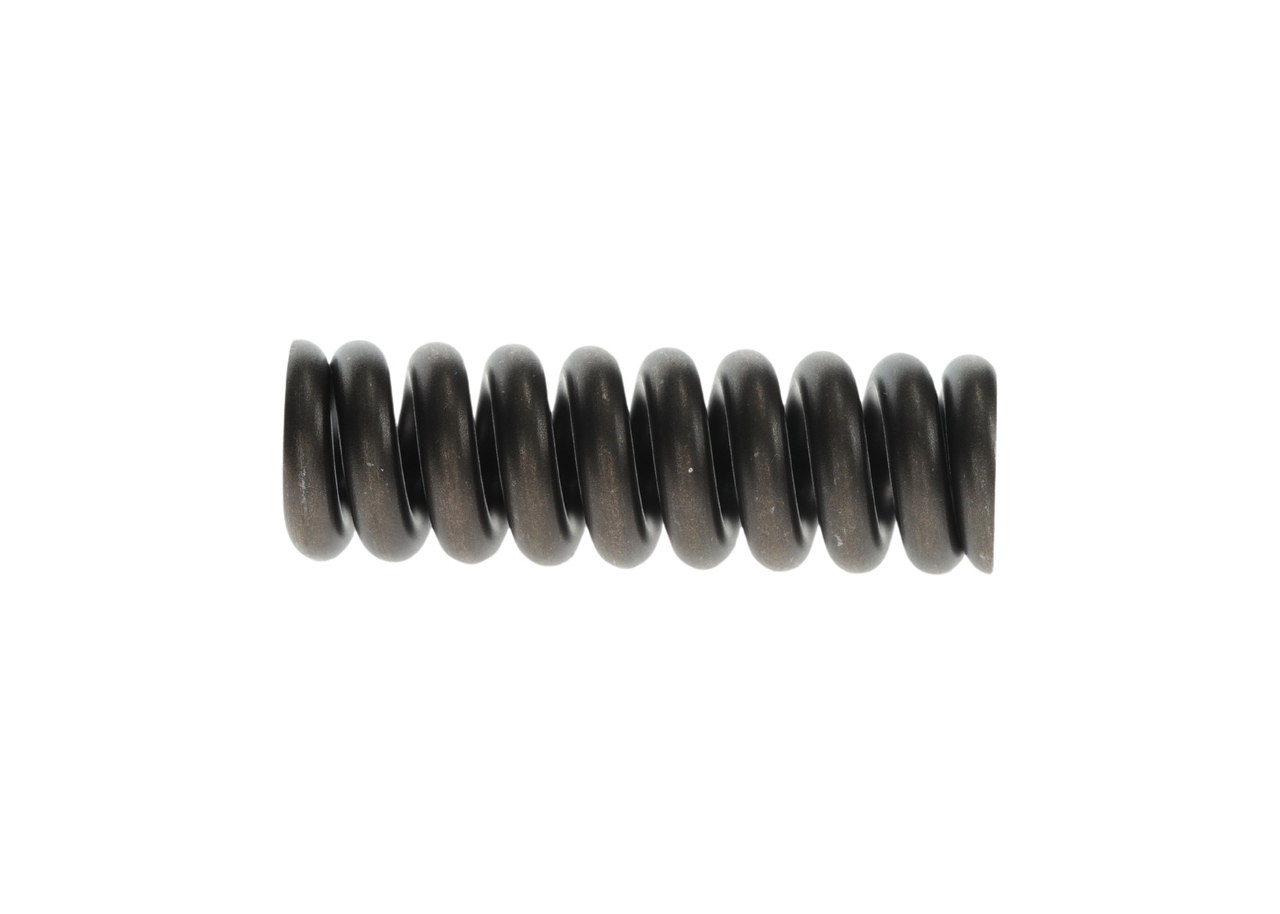 BOSCH Feder 2 434 619 045 online kaufen