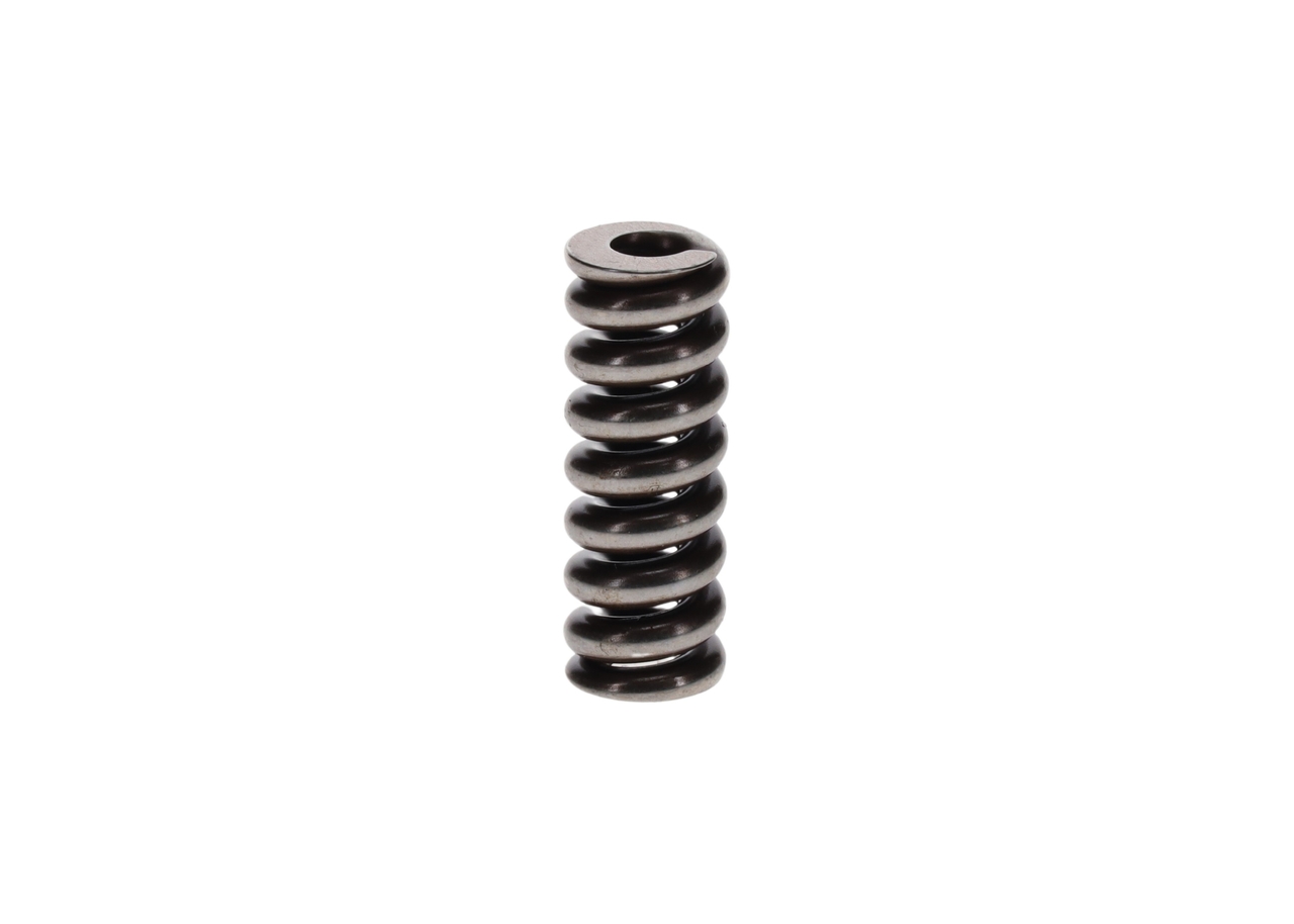 BOSCH Spring 2 434 619 046 buy