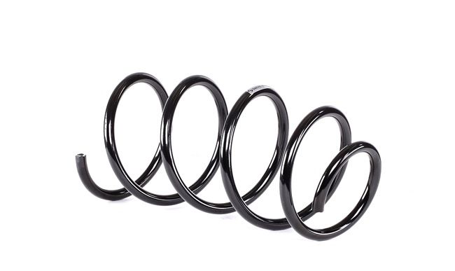 SACHS 993 255 Fahrwerksfeder