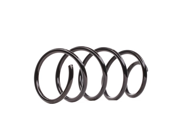 SACHS 993 257 Muelle de suspensión