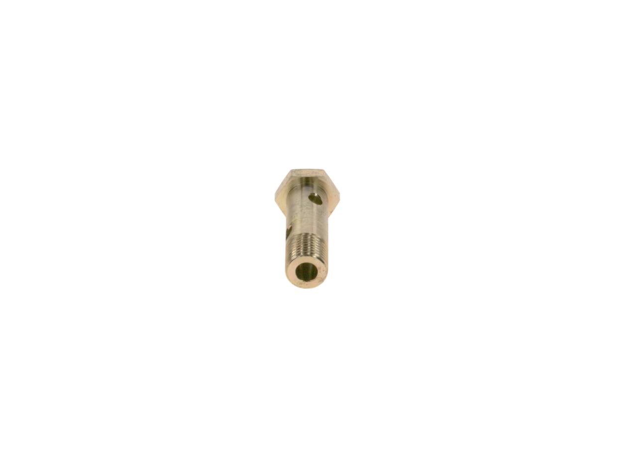 BOSCH 2 443 456 020 Screw