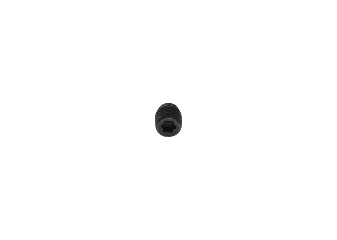 Купете F 00N 201 507 BOSCH Винт F 00N 201 507 евтино