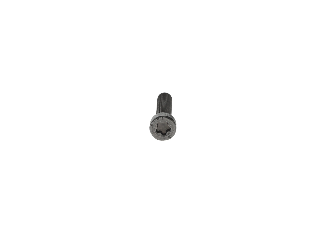 Osta F 00N 202 190 BOSCH Kruvi F 00N 202 190 madala hinnaga