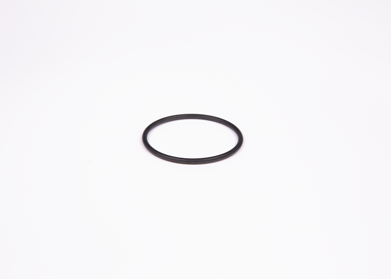 BOSCH 1900210145 Shaft Seal, auxiliary drive 244249