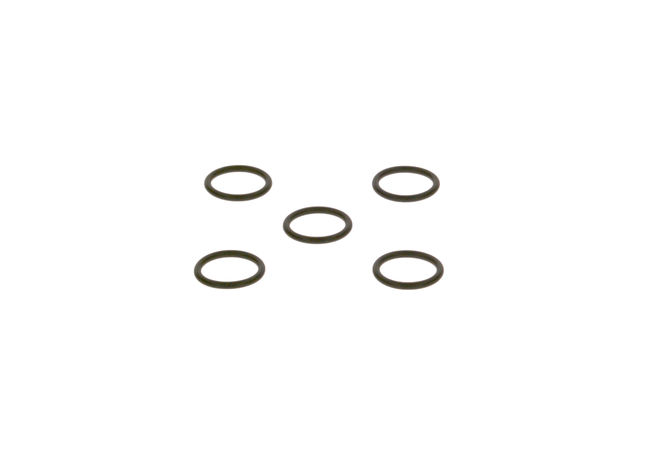 2440210019 Vidurinis duslintuvas BOSCH 1306766 VOLVO