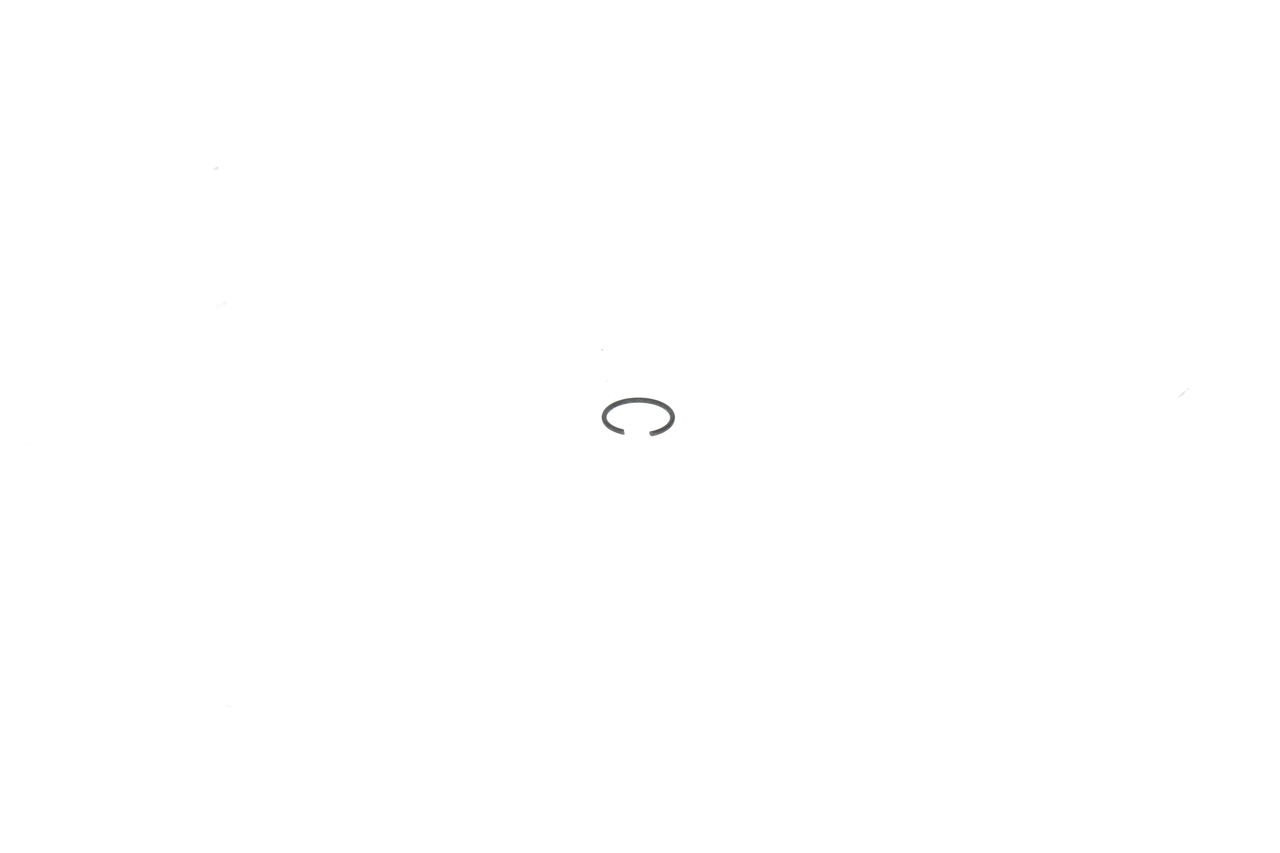 DIN 9045 - 10 2916600006 Tesnici krouzek BOSCH 239164