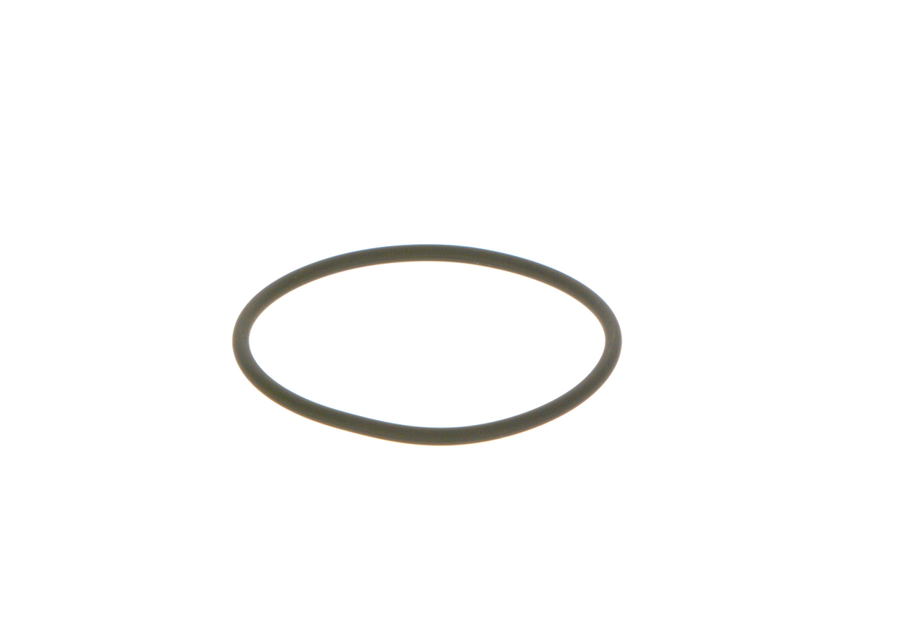 BOSCH Seal Ring F 00N 201 306 buy