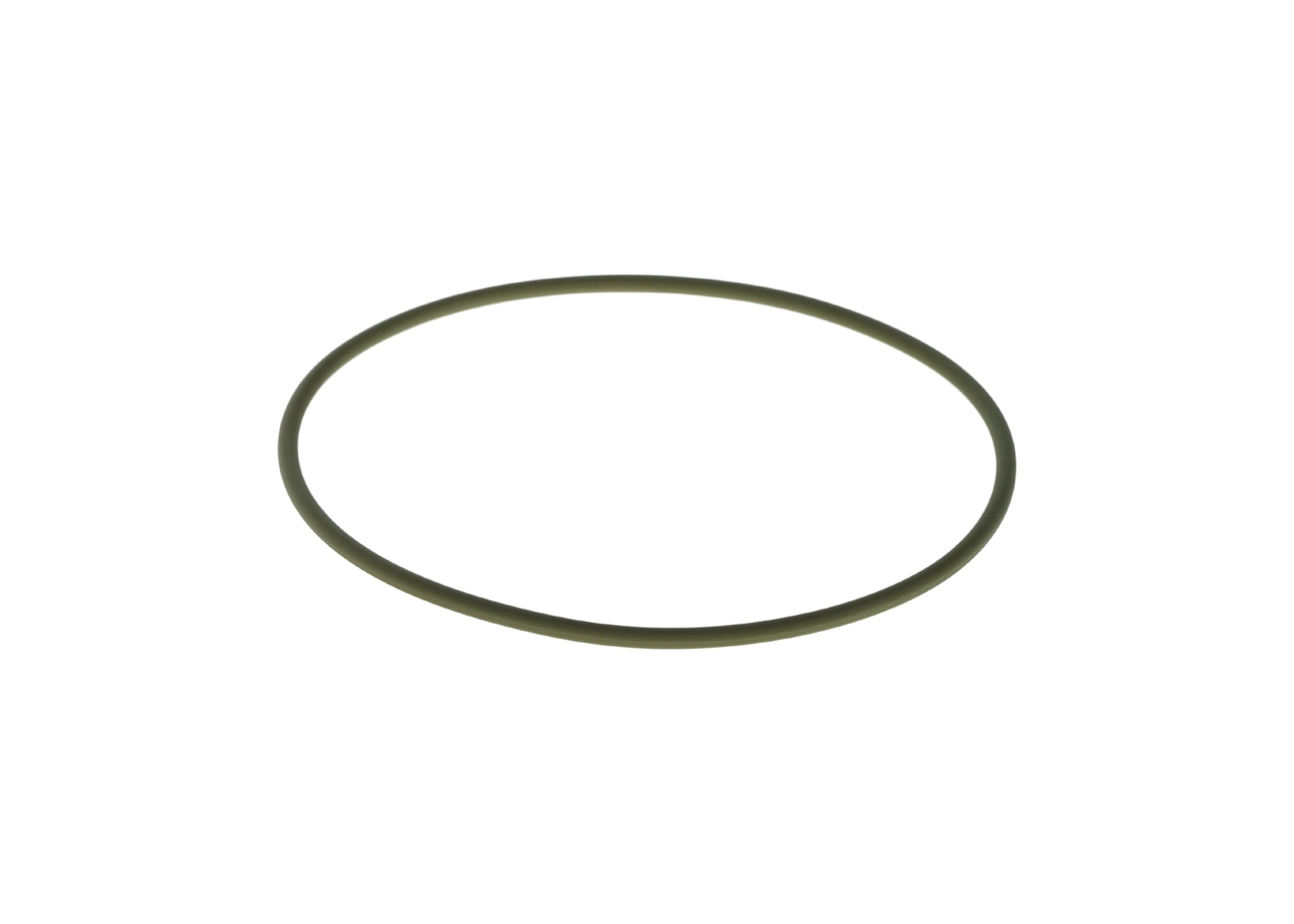 BOSCH Dichtring F 00R 0P0 341 kaufen