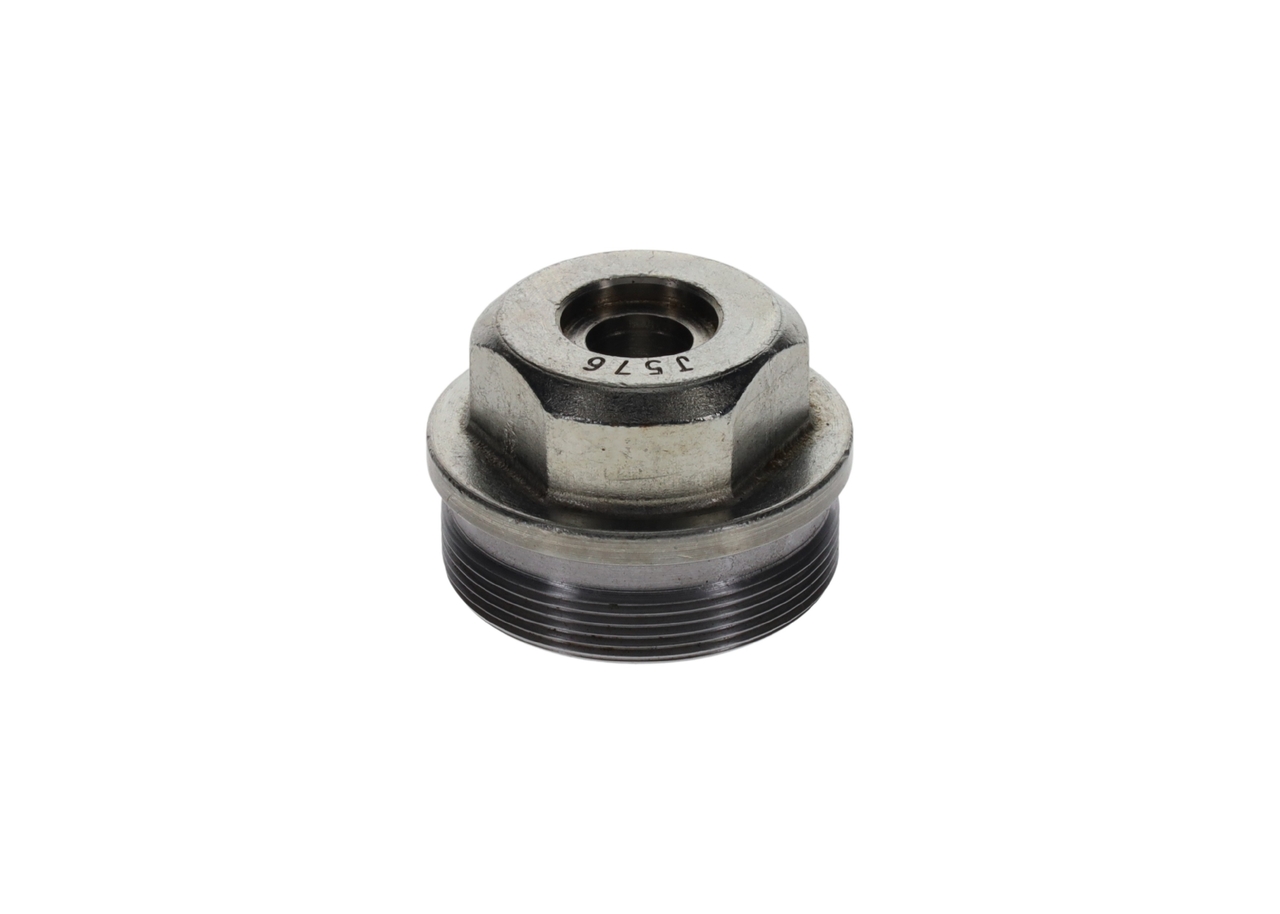 BOSCH F 002 D13 576 Skrutka lacné v eshop