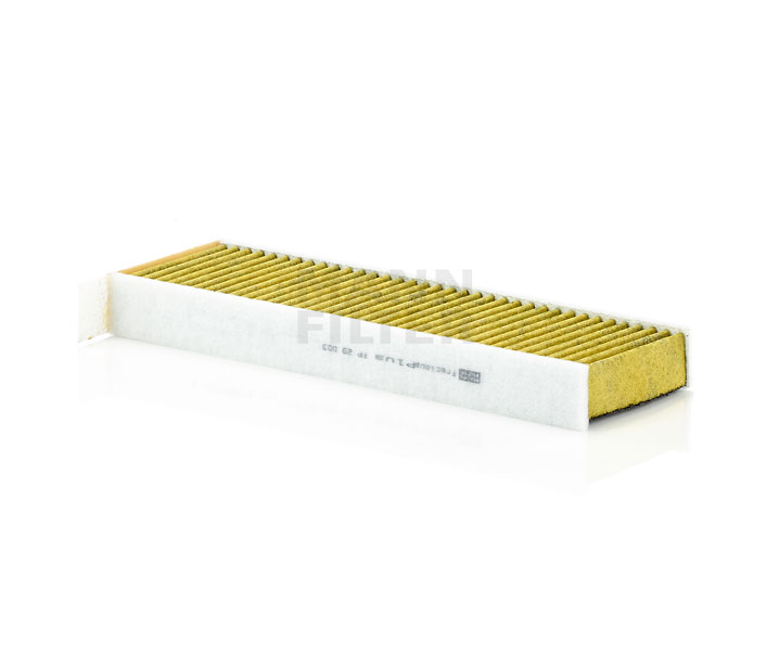 MANN-FILTER FP 29 003-2 Pollen filter