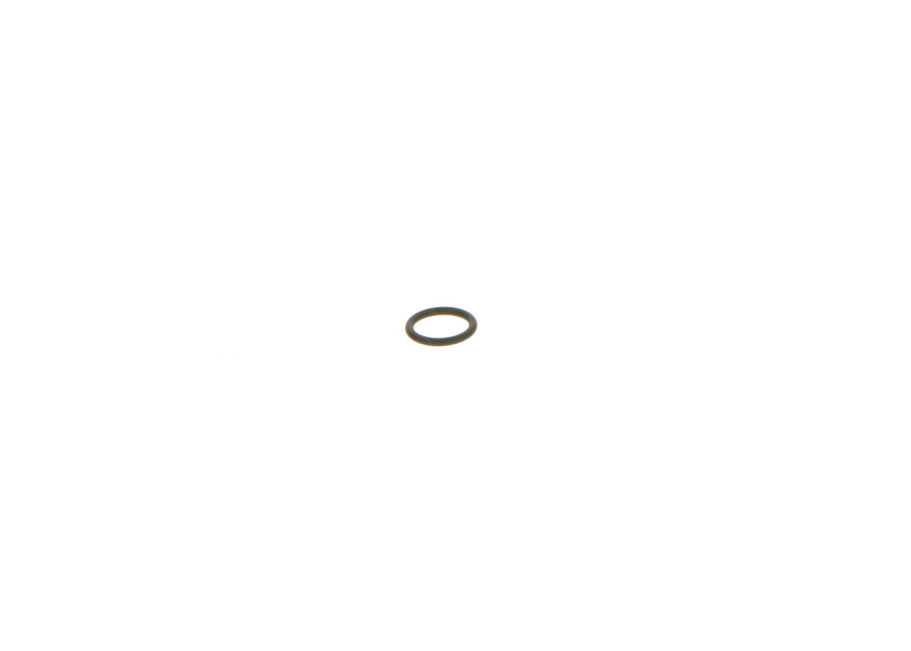 Dichtring BOSCH 1 928 300 717