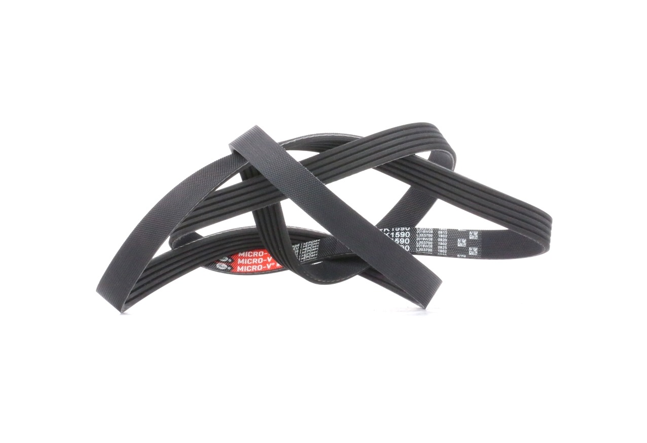 GATES Micro-V 5PK1550 Cinghia Servizi Per SUZUKI SX4