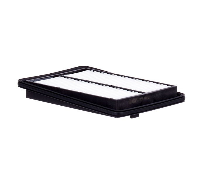 MANN-FILTER C 25 040 Luftfilter