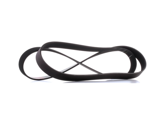 7PK1675 GATES 7PK1673 Cinghia servizi 1675mm, 7, G-Force WorkHorse ...