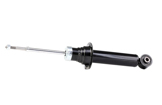 RIDEX Shock absorber 854S0221