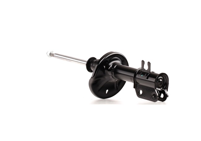 RIDEX Shock absorber 854S0646