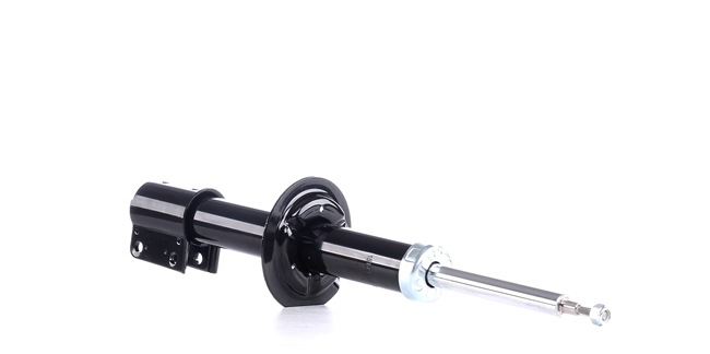 RIDEX Amortisseur 854S1208