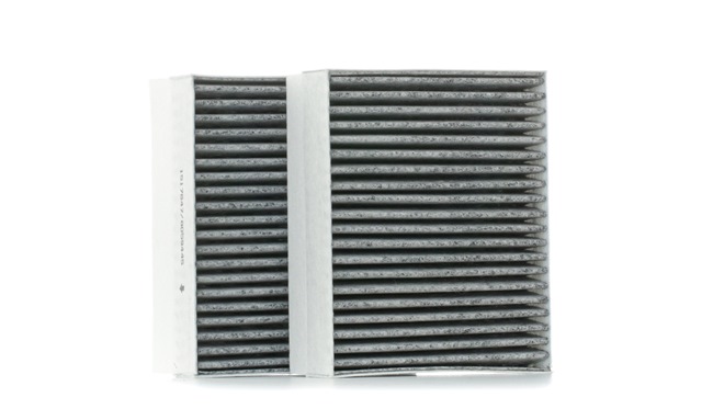 RIDEX 424I0328 Pollen filter