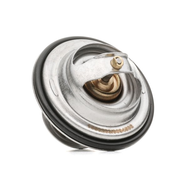 Termostato Motore DENSO DTM82574 A Un Prezzo Conveniente
