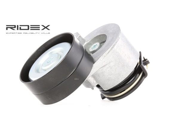 RIDEX Tensioner pulley 310T0049