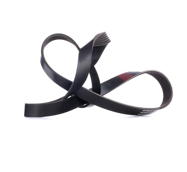 RIDEX Courroie Poly-V 305P0170