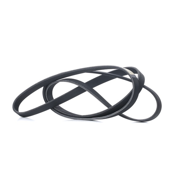 RIDEX Keilrippenriemen 305P0096