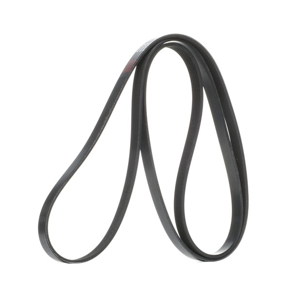 RIDEX Courroie Poly-V 305P0248