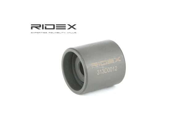 RIDEX 313D0012