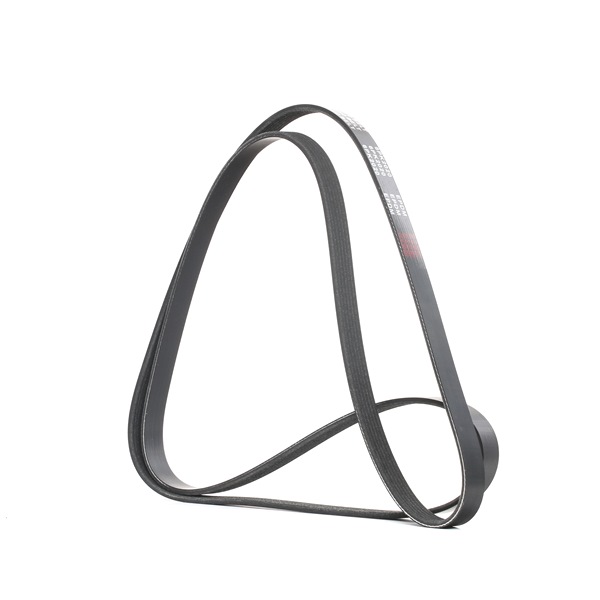 RIDEX Courroie Poly-V 305P0093