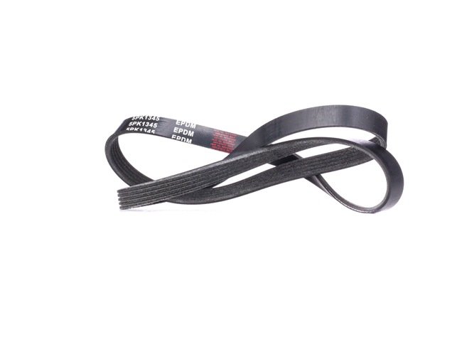RIDEX Courroie Poly-V 305P0174
