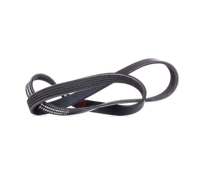 RIDEX 305P0164 Courroie Poly-V