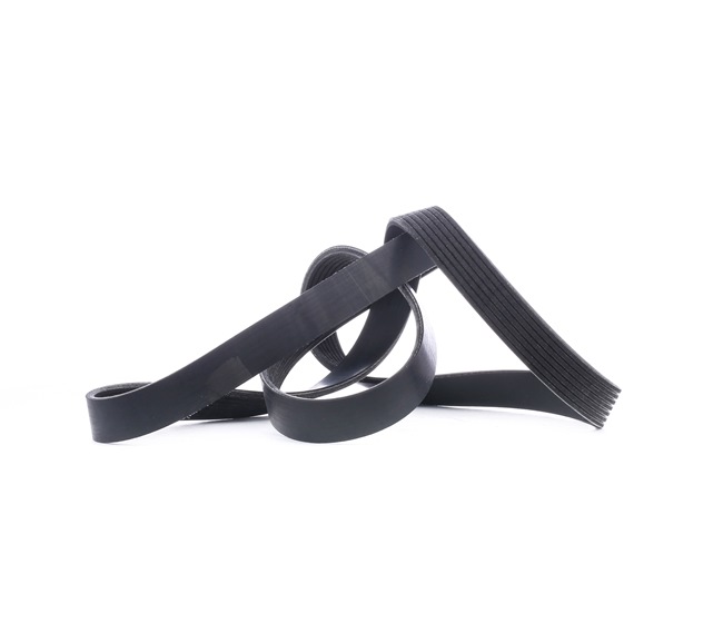 RIDEX Serpentine belt 305P0289